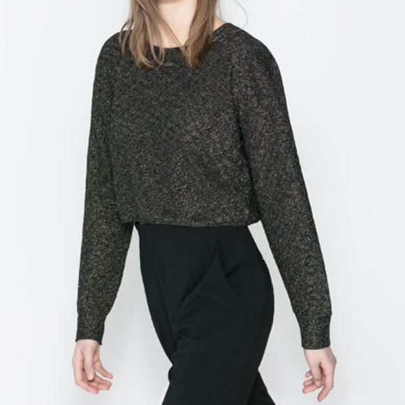 Zara Tops Zara Sparkly Long Sleeve Crop Top Poshmark